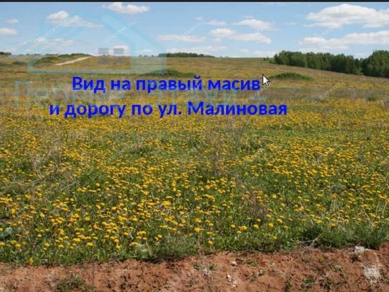 земельный участок 1 400 соток деревня Малое Сескино